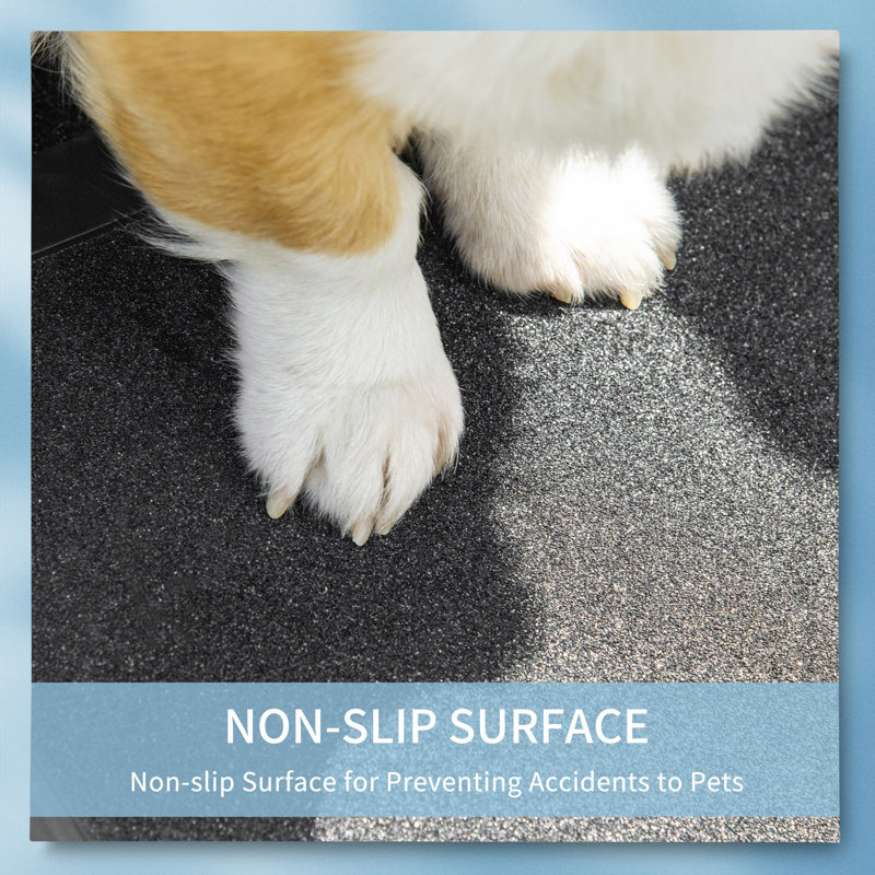 Stop the slip pet ramp cheap